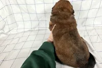 processed/6d467ec7-c087-4de8-8fc1-cfb98132390b/listing/4d78c074-6dde-421f-b0f8-9e162335a257/0defc0c5-666a-4fb6-a33f-f4d22901e0bf