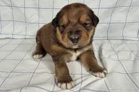 processed/6d467ec7-c087-4de8-8fc1-cfb98132390b/listing/4d78c074-6dde-421f-b0f8-9e162335a257/1b6b72a6-3b95-48bc-8797-244d398737d3