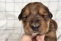 processed/6d467ec7-c087-4de8-8fc1-cfb98132390b/listing/4d78c074-6dde-421f-b0f8-9e162335a257/322f4944-e801-4559-a245-8117fb0d5e34