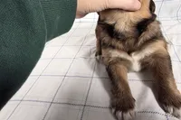 processed/6d467ec7-c087-4de8-8fc1-cfb98132390b/listing/4d78c074-6dde-421f-b0f8-9e162335a257/45770ee5-caf6-41d8-a678-5fbbb8c07d9f