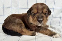 processed/6d467ec7-c087-4de8-8fc1-cfb98132390b/listing/4d78c074-6dde-421f-b0f8-9e162335a257/946d5a1c-f0f1-40d1-9e71-c859cef9687d