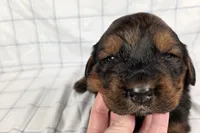 processed/6d467ec7-c087-4de8-8fc1-cfb98132390b/listing/80043d4e-c65c-4d20-a4e6-afb198419b49/1950a6fb-c495-4ca3-a132-d1ae1598a84f