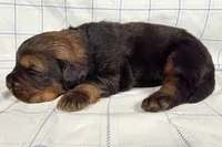 processed/6d467ec7-c087-4de8-8fc1-cfb98132390b/listing/80043d4e-c65c-4d20-a4e6-afb198419b49/65932e8b-bf3f-4f43-b513-916405254b64