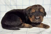 processed/6d467ec7-c087-4de8-8fc1-cfb98132390b/listing/80043d4e-c65c-4d20-a4e6-afb198419b49/682ded04-bf21-4ee1-bad4-903017ddc83a