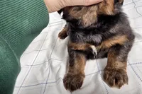 processed/6d467ec7-c087-4de8-8fc1-cfb98132390b/listing/80043d4e-c65c-4d20-a4e6-afb198419b49/af85fc40-88bf-4750-b7c6-a77de26bebc7