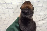 processed/6d467ec7-c087-4de8-8fc1-cfb98132390b/listing/80043d4e-c65c-4d20-a4e6-afb198419b49/b33a00d2-04b8-41dd-92b1-bc177cf50a0a