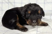 processed/6d467ec7-c087-4de8-8fc1-cfb98132390b/listing/a99205c2-d7cf-4aee-bfcb-4ad08e40be2a/43816d7a-d97e-429b-bbe7-7a320ab8579d