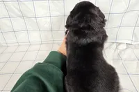 processed/6d467ec7-c087-4de8-8fc1-cfb98132390b/listing/a99205c2-d7cf-4aee-bfcb-4ad08e40be2a/570d2b28-4516-4fef-8862-a591fcff6677