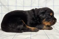 processed/6d467ec7-c087-4de8-8fc1-cfb98132390b/listing/a99205c2-d7cf-4aee-bfcb-4ad08e40be2a/d7679da7-3f04-4d03-aef1-b9e9ebae548c