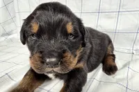 processed/6d467ec7-c087-4de8-8fc1-cfb98132390b/listing/a99205c2-d7cf-4aee-bfcb-4ad08e40be2a/fa2b969a-5e27-46ff-9b16-32b39642cbae