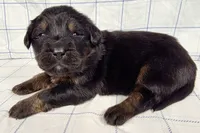 processed/6d467ec7-c087-4de8-8fc1-cfb98132390b/listing/c2b7b53b-b4df-465a-8e5f-61455ac1fc82/135d1f1d-a4c1-4eb9-8861-a3b35c15caea