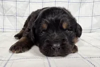 processed/6d467ec7-c087-4de8-8fc1-cfb98132390b/listing/c2b7b53b-b4df-465a-8e5f-61455ac1fc82/3c50b1f9-84c6-4ee7-a669-5da1796d8b33