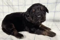 processed/6d467ec7-c087-4de8-8fc1-cfb98132390b/listing/c2b7b53b-b4df-465a-8e5f-61455ac1fc82/72851a8d-65b2-4081-8b3f-c5551c07f2d9