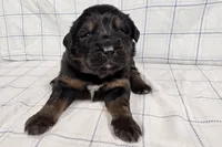 processed/6d467ec7-c087-4de8-8fc1-cfb98132390b/listing/c2b7b53b-b4df-465a-8e5f-61455ac1fc82/97b1df36-92ee-495c-b8ae-ca21b1a983dd