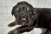 processed/6d467ec7-c087-4de8-8fc1-cfb98132390b/listing/c2b7b53b-b4df-465a-8e5f-61455ac1fc82/d5205877-8f9b-439d-9e53-e8725f5fba99