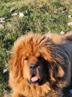 processed/6d467ec7-c087-4de8-8fc1-cfb98132390b/listing/c2b7b53b-b4df-465a-8e5f-61455ac1fc82/fea22216-3fa4-414e-b504-7679b2692fe0