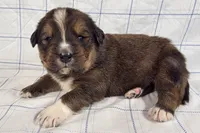 processed/6d467ec7-c087-4de8-8fc1-cfb98132390b/listing/f255411e-8334-493e-8761-2521279011ca/5aacfb10-54aa-44ab-8ce7-284bfa866ca7