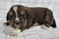 processed/6d467ec7-c087-4de8-8fc1-cfb98132390b/listing/f255411e-8334-493e-8761-2521279011ca/8eca97bc-7480-4dcd-8254-c0a67e326f62