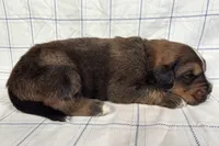 processed/6d467ec7-c087-4de8-8fc1-cfb98132390b/listing/f255411e-8334-493e-8761-2521279011ca/92bf7ced-ee6a-4930-bd03-4d659dcf62c3