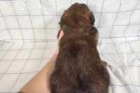 processed/6d467ec7-c087-4de8-8fc1-cfb98132390b/listing/f255411e-8334-493e-8761-2521279011ca/aad5a2ca-79f0-4583-a3aa-a2d1eeaa146c