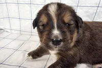 processed/6d467ec7-c087-4de8-8fc1-cfb98132390b/listing/f255411e-8334-493e-8761-2521279011ca/cfda5bff-3341-4f2d-94ef-6d9918974a46