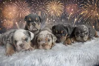 processed/6d50453f-f50b-46b6-ad5c-e421fd9078d6/listing/0c849fbc-c4ac-44a0-b2f5-bcd85ccfda39/3dc94e12-1f40-45e8-9f67-41909fd5743d