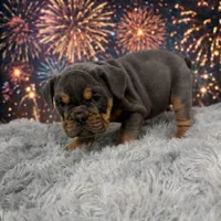 processed/6d50453f-f50b-46b6-ad5c-e421fd9078d6/listing/0c849fbc-c4ac-44a0-b2f5-bcd85ccfda39/455469f3-7ce8-4d37-aa99-ec0172ab7670