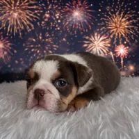 processed/6d50453f-f50b-46b6-ad5c-e421fd9078d6/listing/9be4d397-9d45-409c-9ff8-6440654fdb4d/fb7a6cb2-730d-4535-b50b-443a4f127aea