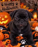Milo, a male Pug for sale in Zebulon, NC – 1 of 9