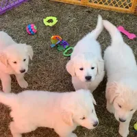 processed/6d53a527-2182-4229-8e5c-dad03d6030a9/facility/01e46229-a523-4796-b2dd-6b0a808f1371