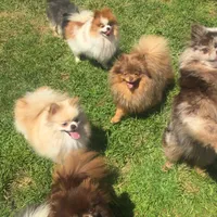 processed/6d53a527-2182-4229-8e5c-dad03d6030a9/facility/1327b0d0-9c1f-4c28-913f-94a3999b3b15