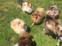 processed/6d53a527-2182-4229-8e5c-dad03d6030a9/facility/1327b0d0-9c1f-4c28-913f-94a3999b3b15