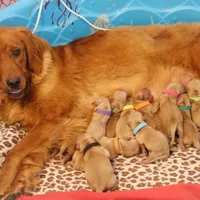 processed/6d53a527-2182-4229-8e5c-dad03d6030a9/facility/16fae07b-e5c5-4099-9e5d-fa94b1b6c293