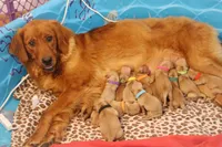 processed/6d53a527-2182-4229-8e5c-dad03d6030a9/facility/16fae07b-e5c5-4099-9e5d-fa94b1b6c293