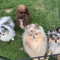 processed/6d53a527-2182-4229-8e5c-dad03d6030a9/facility/19a24275-7dda-46a4-93dc-359e9926fea3