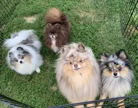 processed/6d53a527-2182-4229-8e5c-dad03d6030a9/facility/19a24275-7dda-46a4-93dc-359e9926fea3