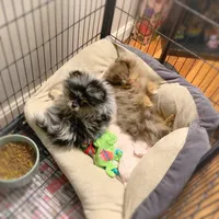 processed/6d53a527-2182-4229-8e5c-dad03d6030a9/facility/806716ec-8adb-4b44-b875-8977b204aa8d