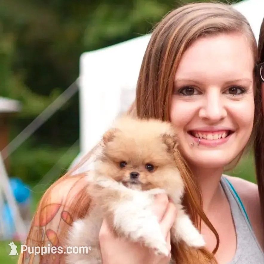 processed/6d53a527-2182-4229-8e5c-dad03d6030a9/facility/a46e5cb8-4517-4d6e-b131-7a8de9e614fb