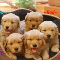 processed/6d53a527-2182-4229-8e5c-dad03d6030a9/facility/dda038ac-555c-46c1-9090-2191f80978b3