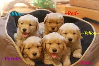 processed/6d53a527-2182-4229-8e5c-dad03d6030a9/facility/dda038ac-555c-46c1-9090-2191f80978b3