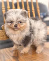 processed/6d53a527-2182-4229-8e5c-dad03d6030a9/listing/43fee0ca-7735-4953-8b30-1bceb09bd3d7/01df28d7-6bb8-4bd1-80b0-47a0fc7ac578