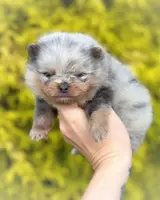 processed/6d53a527-2182-4229-8e5c-dad03d6030a9/listing/43fee0ca-7735-4953-8b30-1bceb09bd3d7/0465ecf0-8dd6-4267-b24e-cc131ca2c8c8