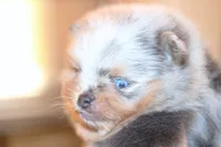 processed/6d53a527-2182-4229-8e5c-dad03d6030a9/listing/43fee0ca-7735-4953-8b30-1bceb09bd3d7/33cb593f-5e3d-495f-9c10-b8bbba0c4b0b