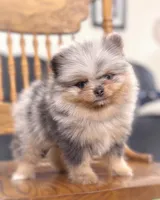 processed/6d53a527-2182-4229-8e5c-dad03d6030a9/listing/43fee0ca-7735-4953-8b30-1bceb09bd3d7/40bcbbae-c84b-42c6-9c74-3060e8bb2203