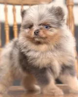 processed/6d53a527-2182-4229-8e5c-dad03d6030a9/listing/43fee0ca-7735-4953-8b30-1bceb09bd3d7/72174aa4-dcba-4be1-97a9-0c0a201f1cd4