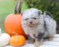 processed/6d53a527-2182-4229-8e5c-dad03d6030a9/listing/43fee0ca-7735-4953-8b30-1bceb09bd3d7/76165bbf-24ba-4975-a09a-02572fa89b2b