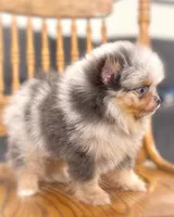 processed/6d53a527-2182-4229-8e5c-dad03d6030a9/listing/43fee0ca-7735-4953-8b30-1bceb09bd3d7/fc0fb61d-4d83-48a3-9f19-04688b941cf5