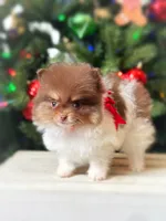 processed/6d53a527-2182-4229-8e5c-dad03d6030a9/listing/5795dfd6-c4de-47db-8efa-12745f0d99bc/45c88234-9c17-40e5-8624-aed190e17345