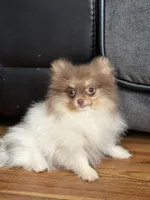 processed/6d53a527-2182-4229-8e5c-dad03d6030a9/listing/5795dfd6-c4de-47db-8efa-12745f0d99bc/e51893b1-12d8-4b4d-9663-598f0a0b8799