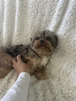 processed/6d59dcf4-e5d8-4565-a8ff-77ad005e27f8/listing/5b2e2ec6-a9a4-4ccd-a931-610fce7495d2/09aaac03-38d0-469a-bc81-e22672d81112